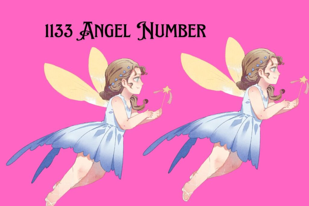 1133 Angel Number
